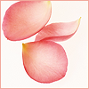petal