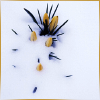 snow2