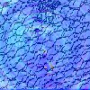 10844069c